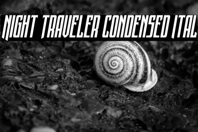 Night Traveler Condensed Ital Font examples