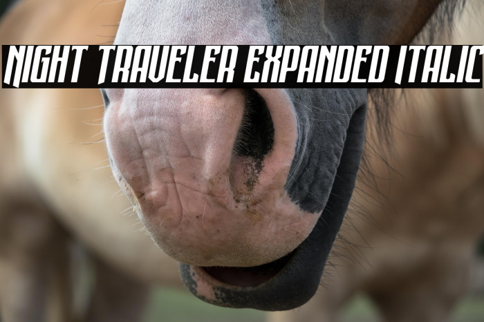 Night Traveler Expanded Italic Example 3