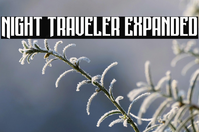 Night Traveler Expanded Example 2