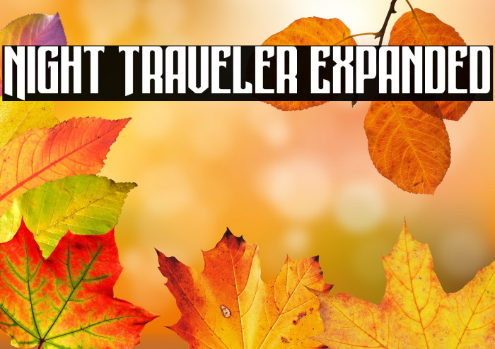 Night Traveler Expanded Example 3