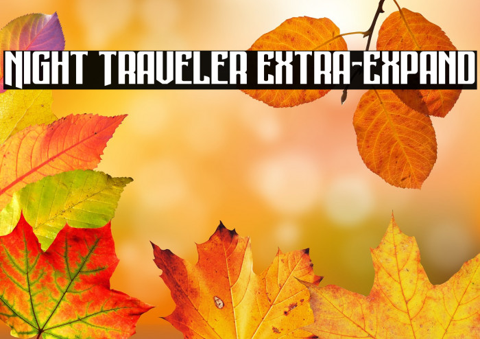 Night Traveler Extra-Expand Example 2