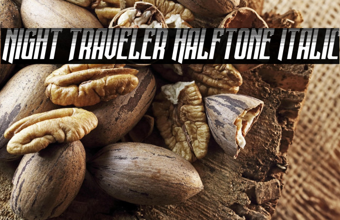 Night Traveler Halftone Italic Example 3