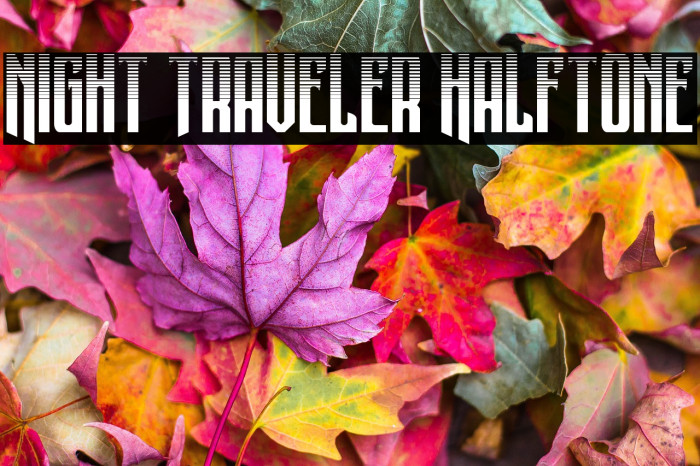 Night Traveler Halftone Example 3