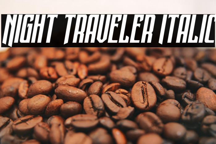 Night Traveler Italic Example 1