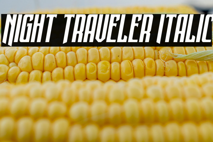 Night Traveler Italic Example 3