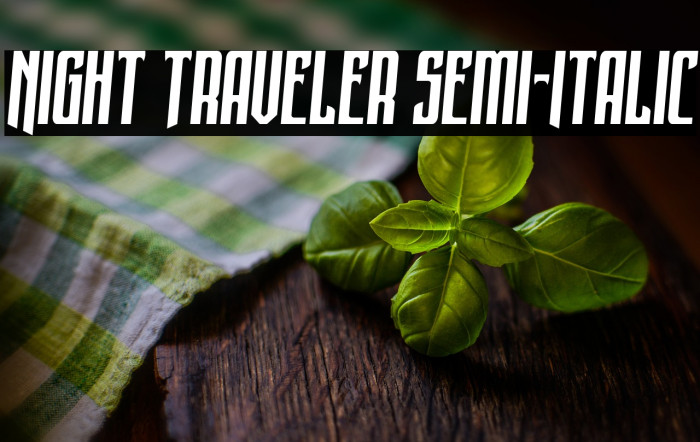 Night Traveler Semi-Italic Example 1