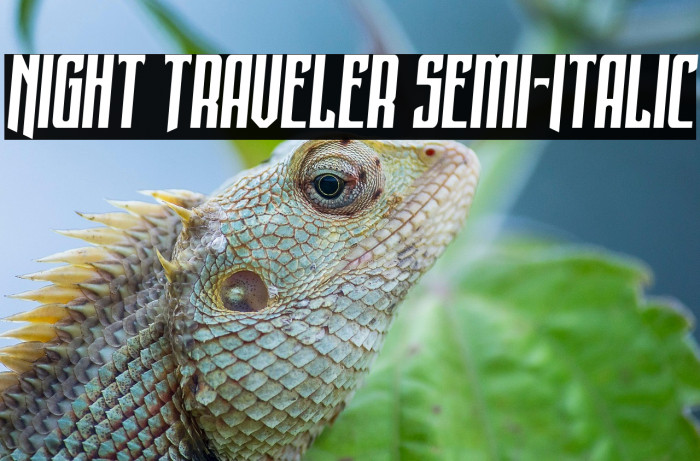 Night Traveler Semi-Italic Example 2