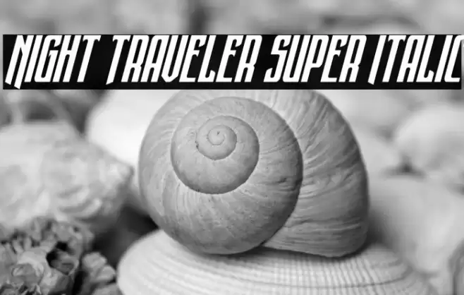 Night Traveler Super Italic Font examples