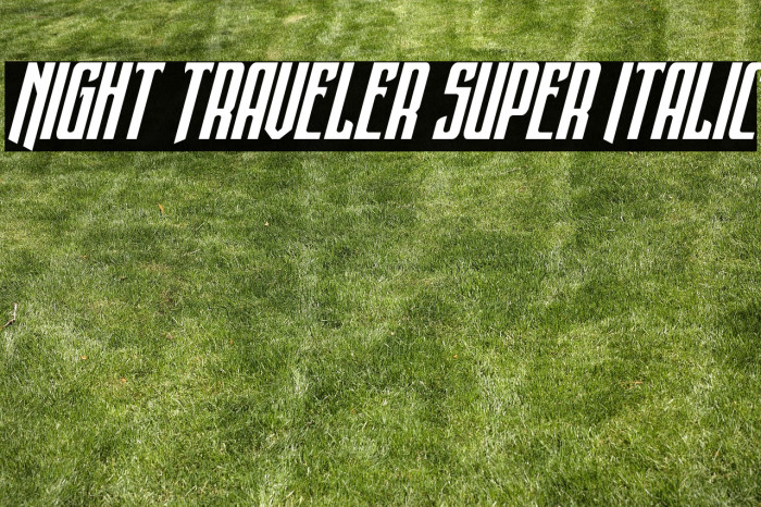 Night Traveler Super Italic Example 2