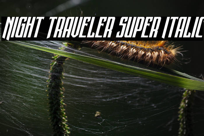 Night Traveler Super Italic Example 3
