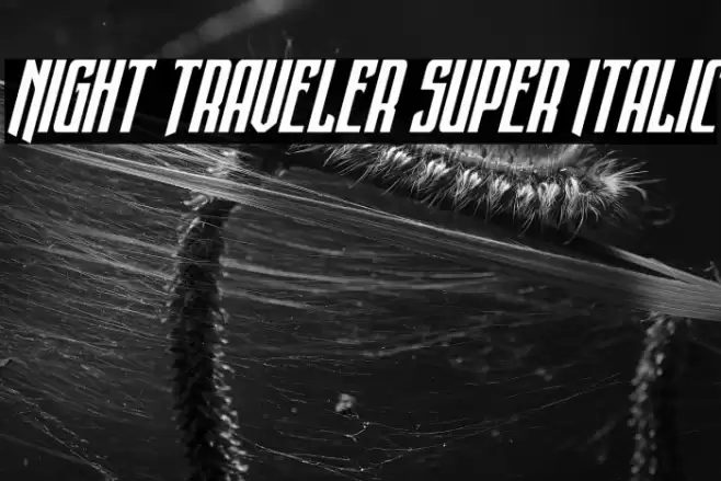 Night Traveler Super Italic Font examples