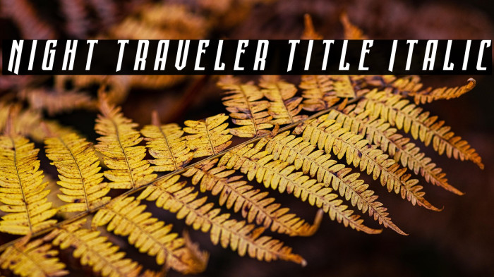 Night Traveler Title Italic Example 2