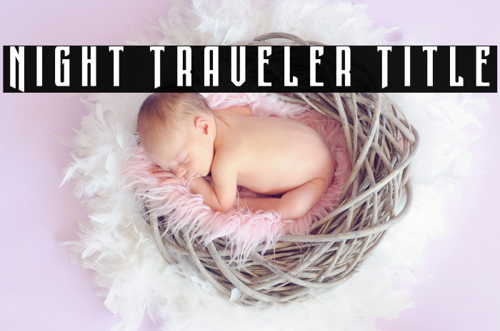 Night Traveler Title Example 1