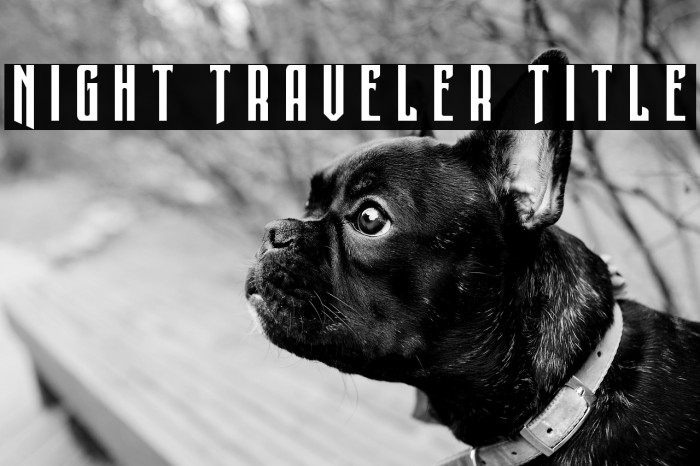 Night Traveler Title Example 2