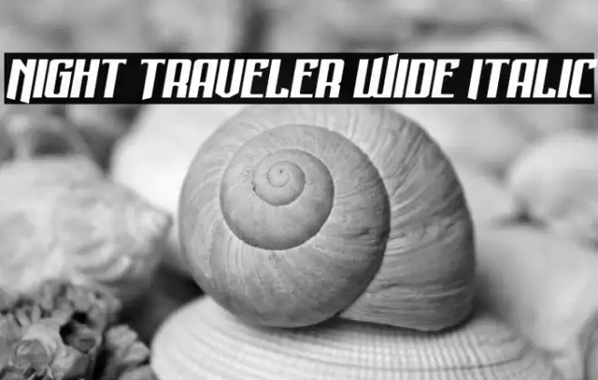 Night Traveler Wide Italic Font examples