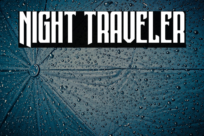 Night Traveler Example 3