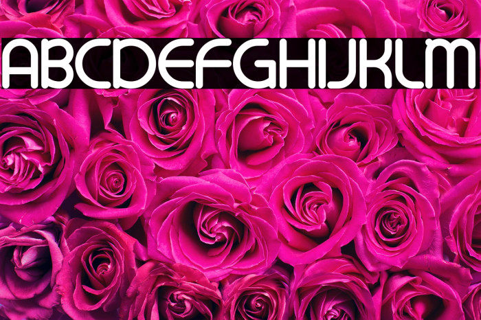 Night Trippers Example 1