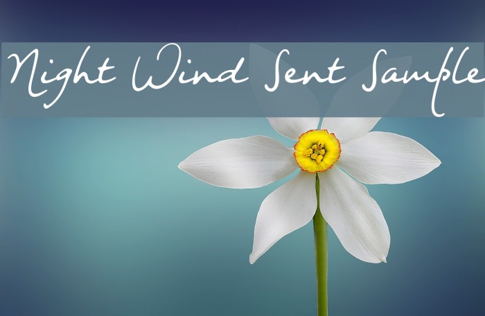 Night Wind Sent Sample Font examples