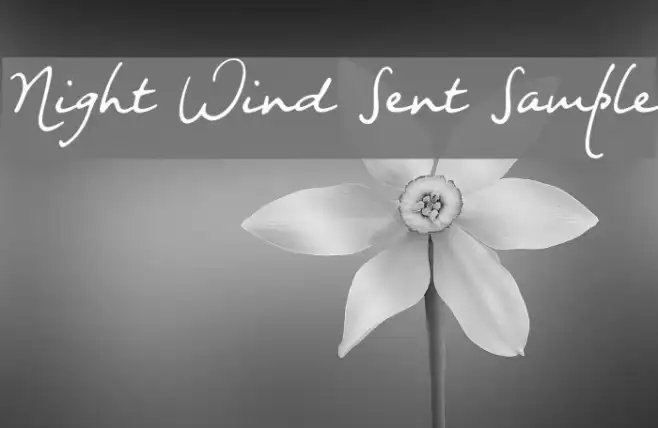 Night Wind Sent Sample Example 2