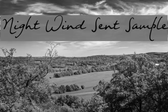 Night Wind Sent Sample Example 3