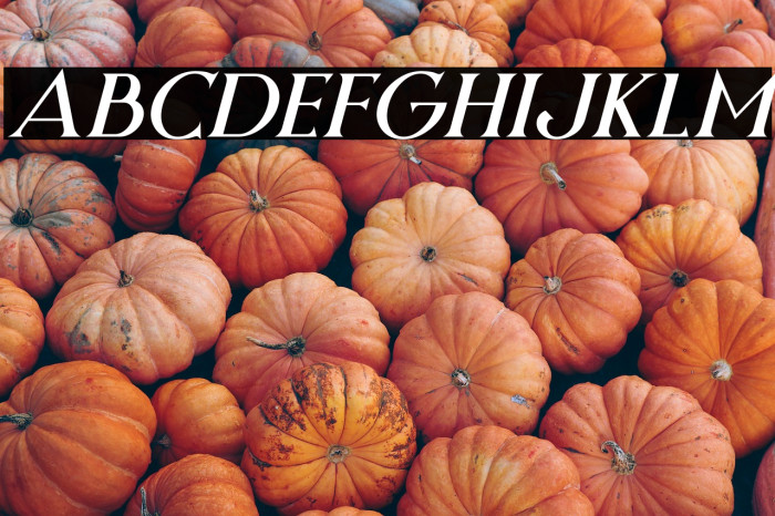 Night Zone Italic Example 1