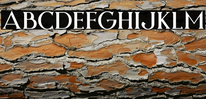 Night Zone Example 1