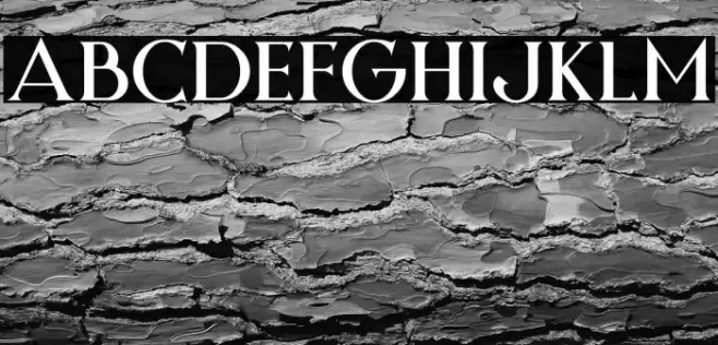 Night Zone Font examples