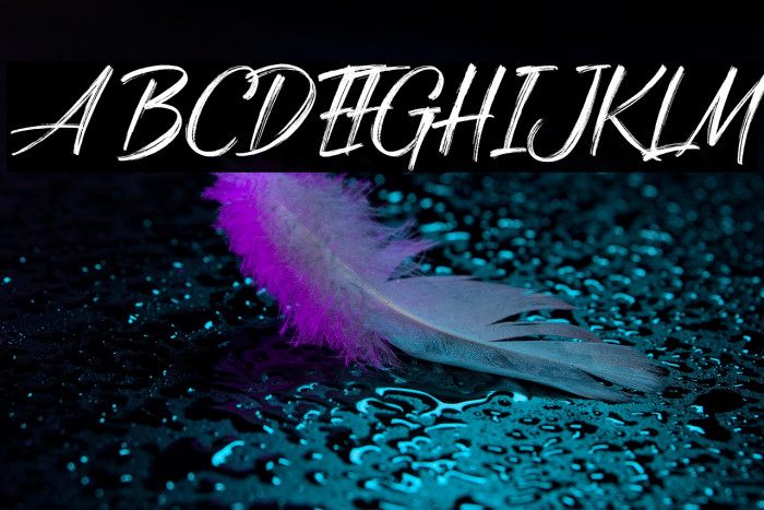 Night in Paradise Example 2