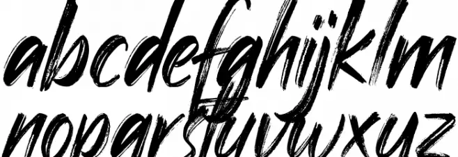 Night in Paradise フォント 小文字