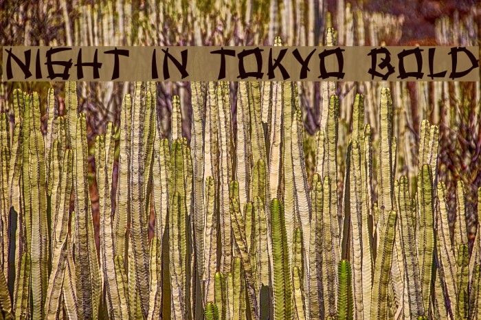 Night in Tokyo Bold Font examples
