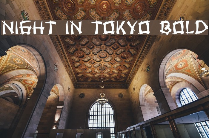 Night in Tokyo Bold Font examples