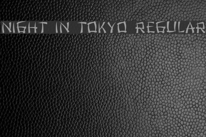 Night in Tokyo Regular Font examples