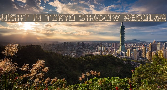 Night in Tokyo Shadow Regular Example 1