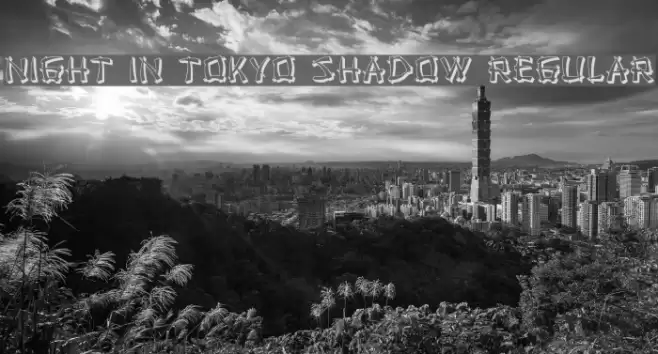 Night in Tokyo Shadow Regular Font examples