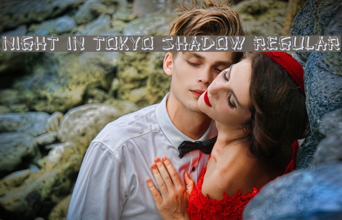 Night in Tokyo Shadow Regular Example 3