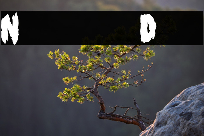 Night of the Deads Example 2