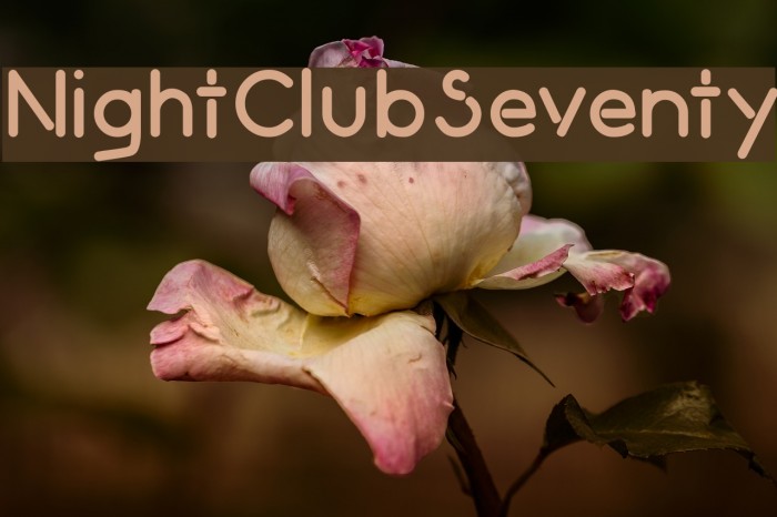 NightClubSeventy Fuentes examples