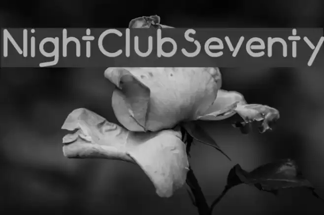 NightClubSeventy फ़ॉन्ट examples