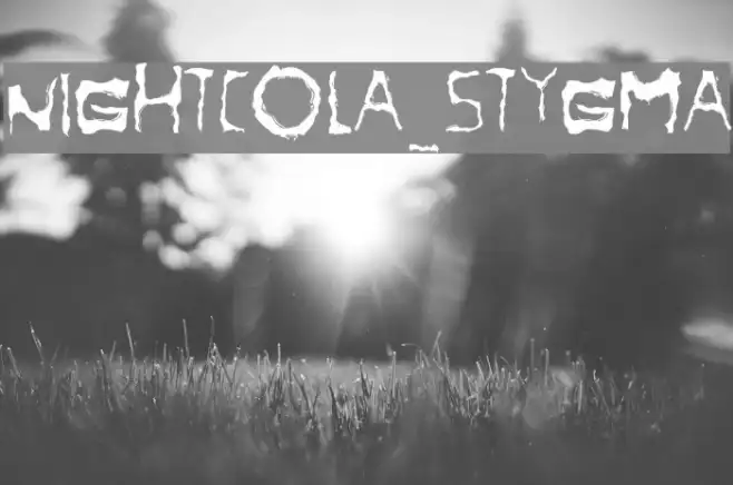 NightCola_Stygma Example 2