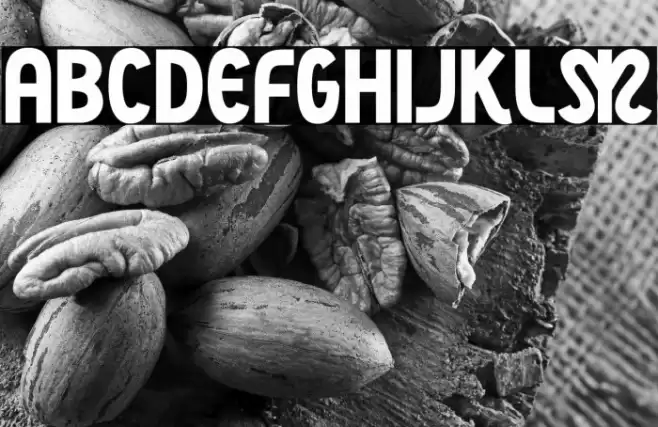 NightCourt-Regular Font examples