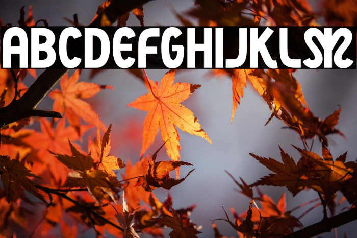 NightCourt-Regular Example 3