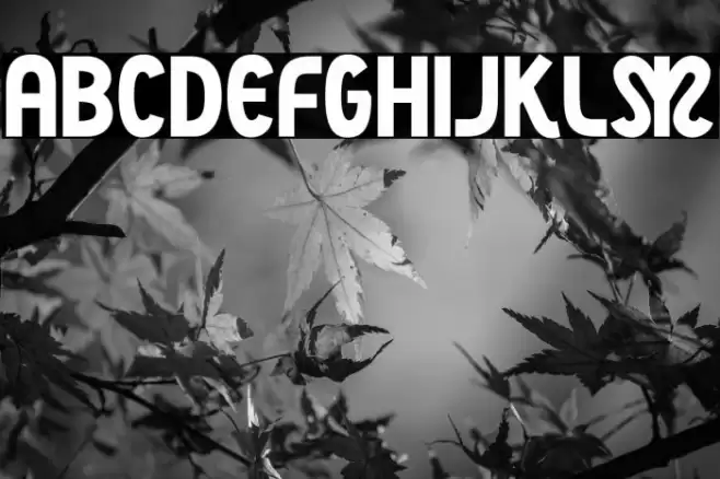 NightCourt-Regular Font examples