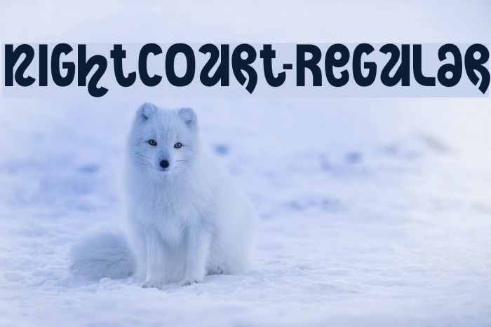 NightCourt-Regular Font examples