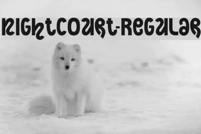 NightCourt-Regular Font examples