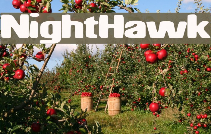 NightHawk Font examples