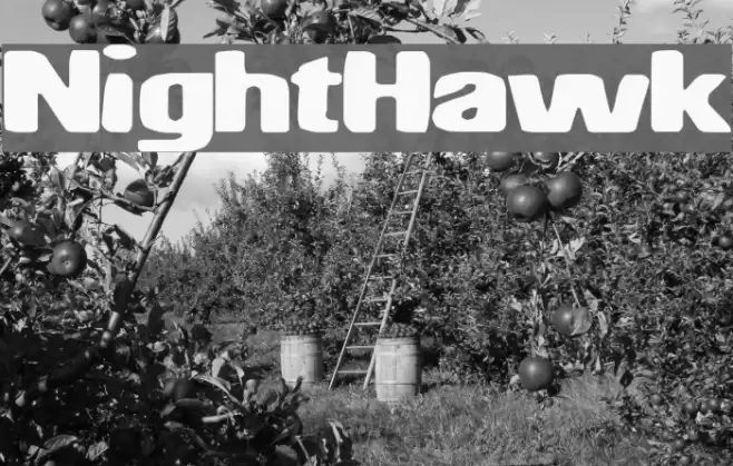 NightHawk Шрифта examples