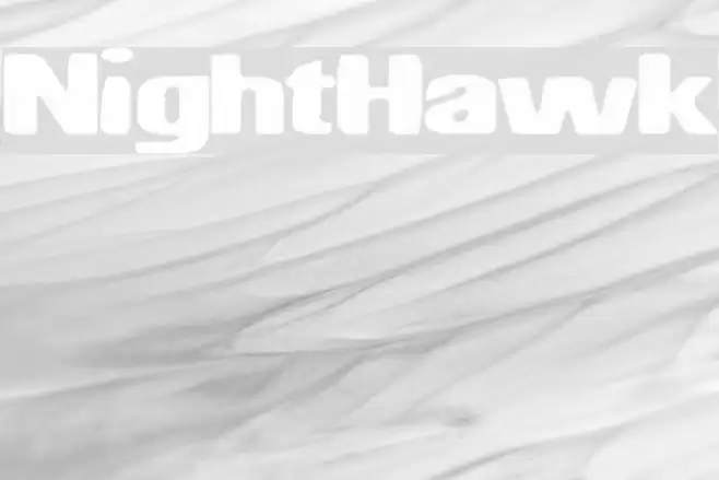 NightHawk Шрифта examples