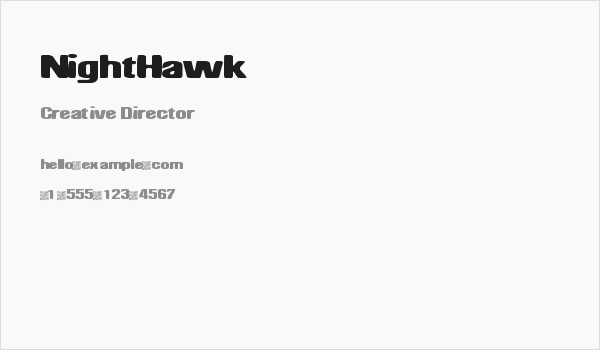 NightHawk Business Card