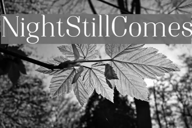 NightStillComes Font examples