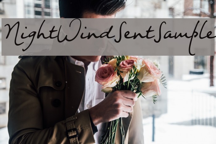 NightWindSentSample Font examples